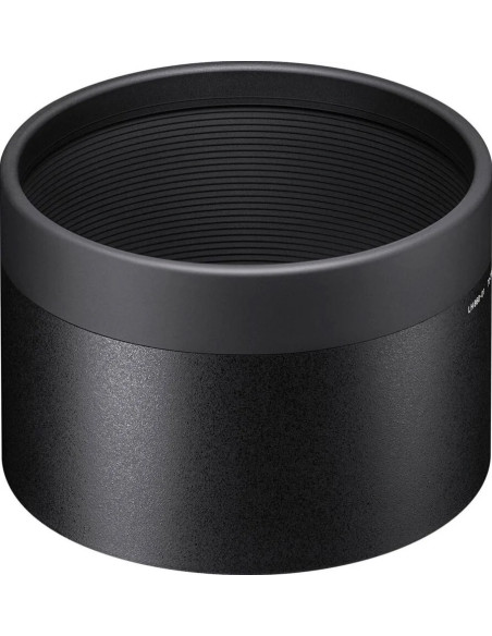 AF 70-200mm f / 2.8 dg dn os l-mount