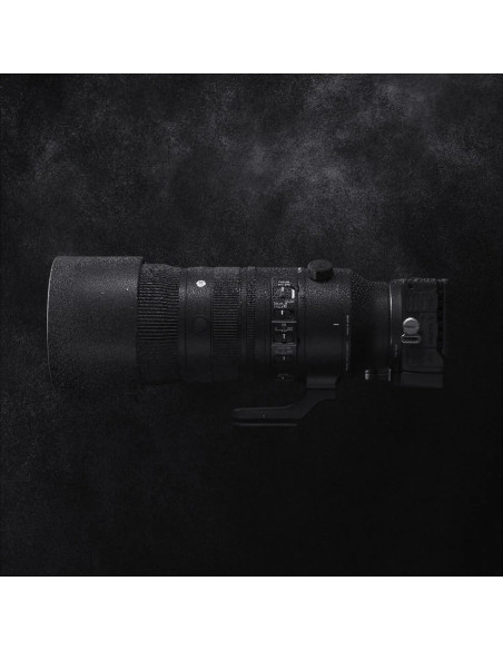 AF 70-200mm f / 2.8 dg dn osm sony e-mount