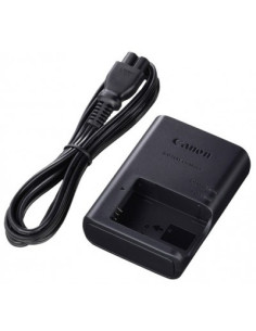 lC-E 12 and chargers