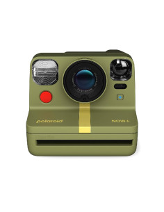 Now + Green Forest