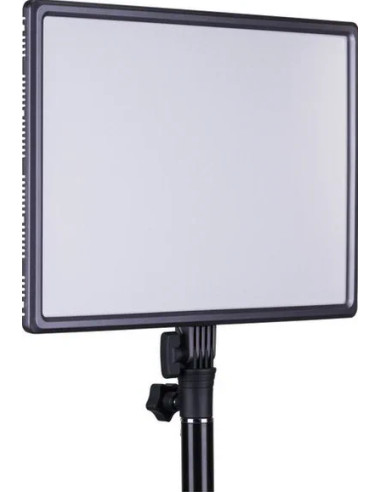 Lumipad 25 LED Pad Light