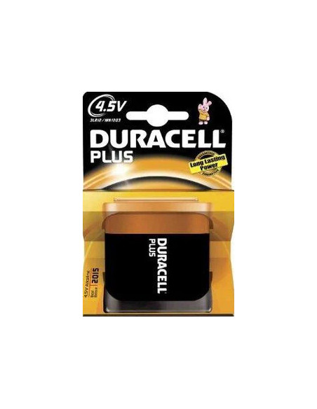 MN1203 Domestic use battery Alkaline disposable battery