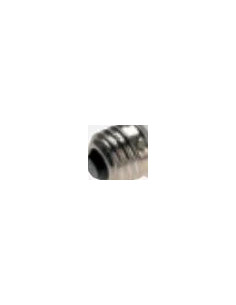 561236 Accessory for flash studio flash lamp