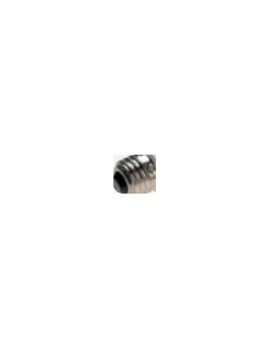 561236 Accessory for flash studio flash lamp