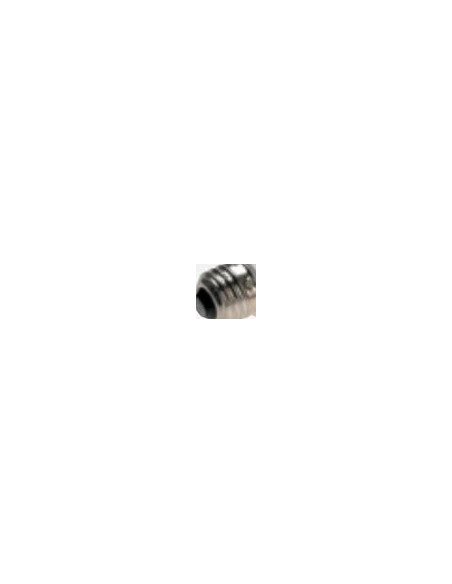 561236 Accessory for flash studio flash lamp