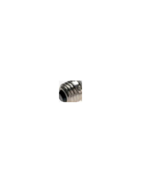 561236 Accessory for flash studio flash lamp