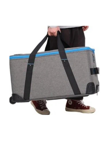 Trolley for 2 FC-500B lights