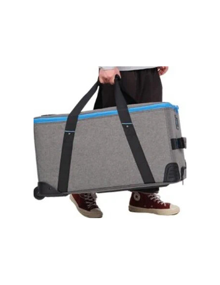 Trolley for 2 FC-500B lights