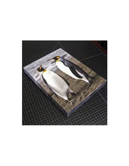 4er corner Wrap standard galleries set