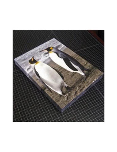 Wrap Galleries 61,00cm 24 Standard 2 Bars + Tensioners