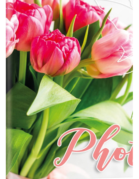 AV57200 Photo album and assorted colors assorted 12 x 18-13 x 19 cm