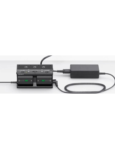 FZ100 multi-battery adapter kit