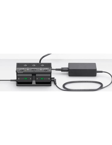 FZ100 multi-battery adapter kit