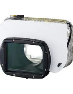 WP-DC42 Subaquean case 2
