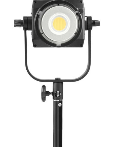 FS-200B bicolor 2kit with stands and bag