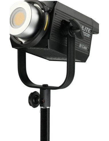 FS-200B bicolor 2kit with stands and bag
