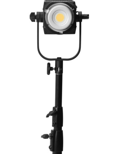 FS-200B bicolor 2kit with stands and bag