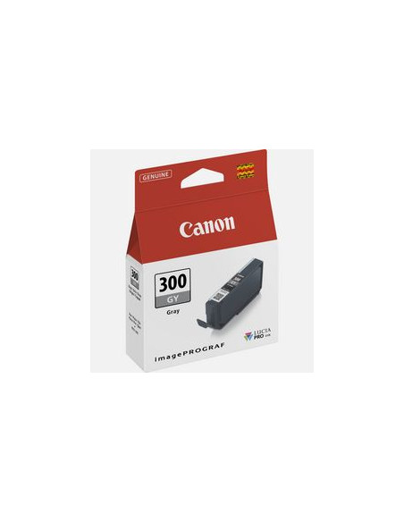 CANON PFI-300 Gray Gy