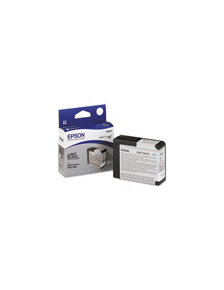 EPSON T5807 Light Black XR3800 / 3880