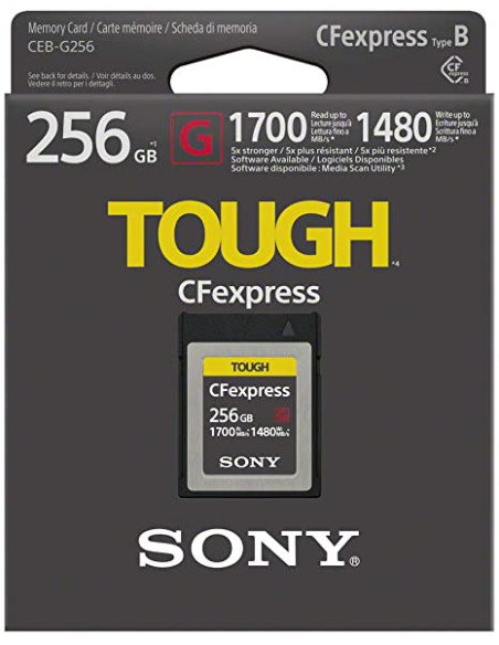 CFExpress G Type B Card 256GB