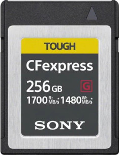 CFExpress G Type B Card 256GB 2