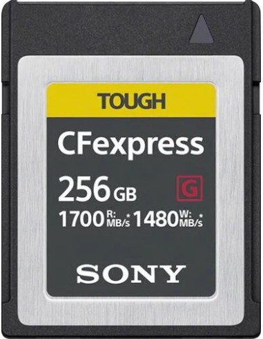 CFExpress G Type B Card 256GB