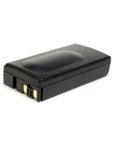VBH0966A Battery for Camera / Nickel-metal-metal hydride video camera (NiMH) 2100 mAh