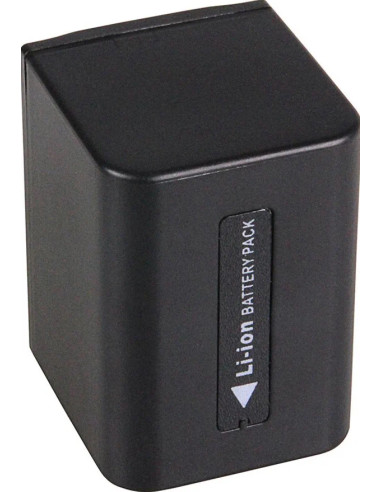 1166 Lithium 1600 mAh ion video camera / camera