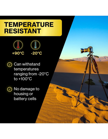 batteria DMW-BLK22 Protect 2250mAh 7,2V