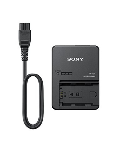 BC-QZ1 Battery charger for NP-FZ100