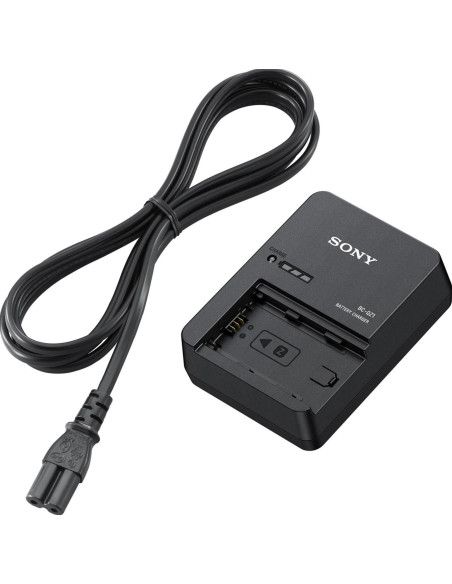 BC-QZ1 Battery charger for NP-FZ100