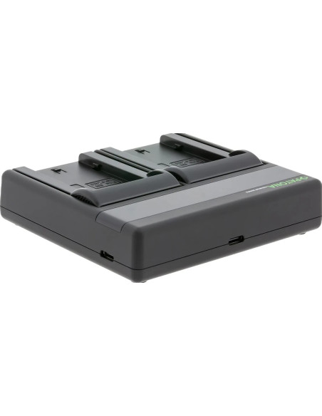 Premium Dual Pd Performance Battery Charger for Sony NP FW50 with USB-C Input / Output