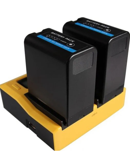 Double USB LCD charger for Sony BP-U30 BP-U60 BP-U90