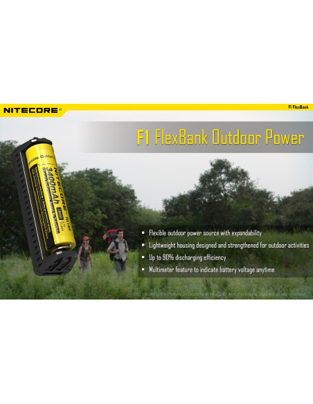 F1 Universal Charger
