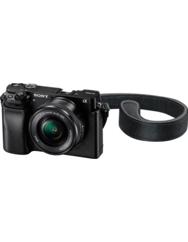LCS-EBE black case