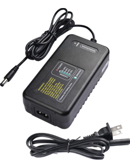 Wistom charger for AD600